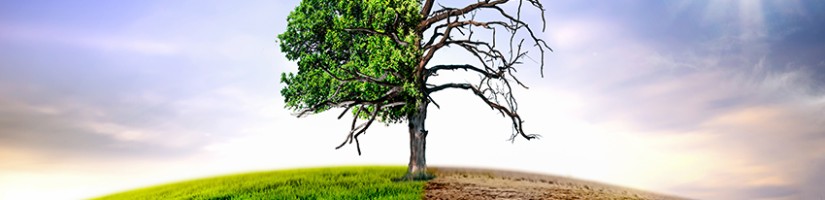 Der Klimawandel beeinflusst auch die Sicherheit und Gesundheit bei der Arbeit