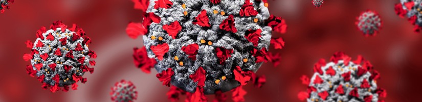 Corona-Viren, die sich zusammen mit anderen Zellen in der Blutbahn bewegen.