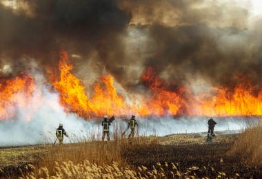 Vier Feuerwehrkräfte in Schutzkleidung stehen auf einem abgebrannten Feldabschnitt und bekämpfen ein großflächiges Bodenfeuer. Hohe Flammen und dichte, schwarze Rauchwolken steigen aus dem brennenden Gras auf. Im Vordergrund ist trockenes Gras zu sehen, im Hintergrund lodert das Feuer in einer breiten Front.
