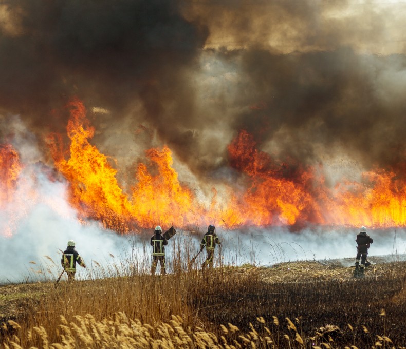 Vier Feuerwehrkräfte in Schutzkleidung stehen auf einem abgebrannten Feldabschnitt und bekämpfen ein großflächiges Bodenfeuer. Hohe Flammen und dichte, schwarze Rauchwolken steigen aus dem brennenden Gras auf. Im Vordergrund ist trockenes Gras zu sehen, im Hintergrund lodert das Feuer in einer breiten Front.